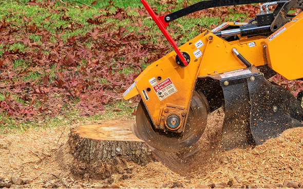 Tree stump removal with grinder